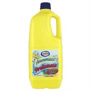 AMACASA AMMONIACA PROFUMATA CON DETERGENTE 2LT