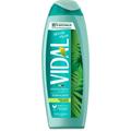 VIDAL DOCCIASCHIUMA WHITE MUSK (NEW) 250 ML