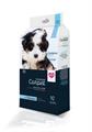 DEALO TRAVERSINE CANI&GATTI CARBONI ATTIVI 60*90CM 10PZ 60GR