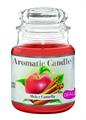 DEALO CANDELA BICCHIERE 6 PROF.ASSORTITE 85GR. 22 ORE