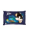 FELIX DOUBLY DELICIOUS SELEZ.PESCI SALMON&SARDIN/TROTA&SGOMB 4X8